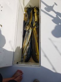 Baja California Sur Report Photo 2