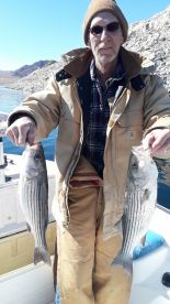 Nevada Report Photo 2
