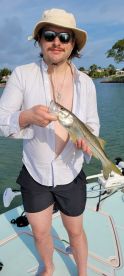 Naples Report Photo 2
