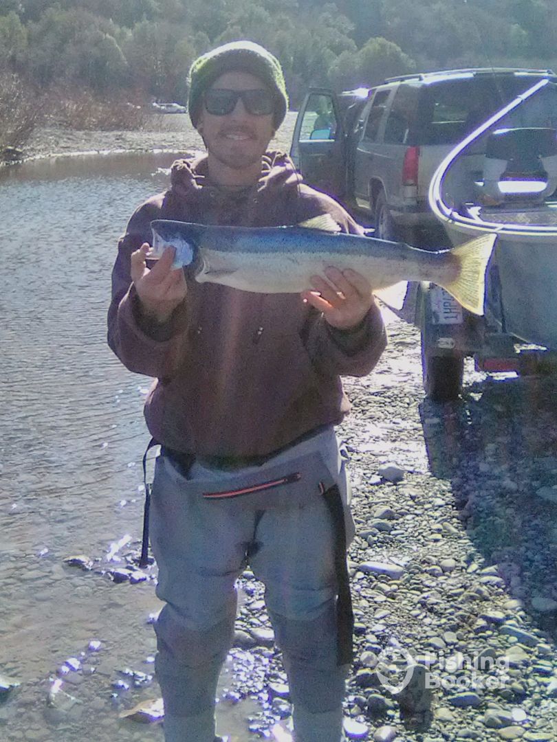 Brookings Report Photo 0
