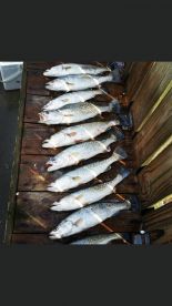 Wanchese Report Photo 1