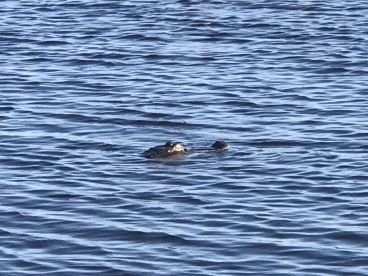 Lake Okeechobee Report Photo 2