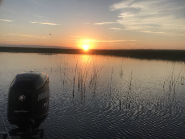 Okeechobee Report Photo 3