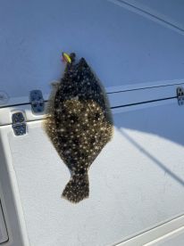 Gulfport Report Photo 2