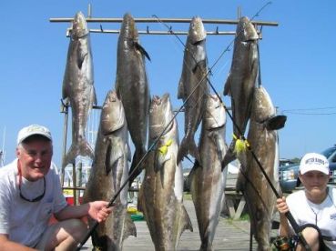 Hatteras Report Photo 1