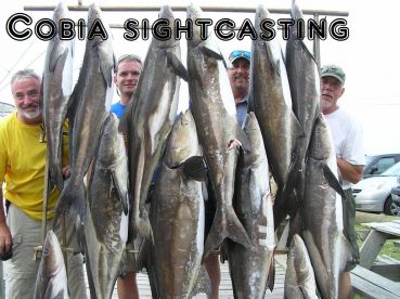 Cape Hatteras Report Photo 1