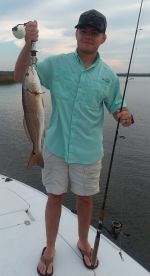Chasing the Tide Proves to be Successful