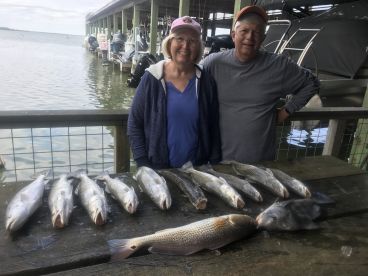 Galveston County Report Photo 4