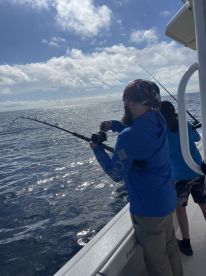 Belleair Bluffs Report Photo 2