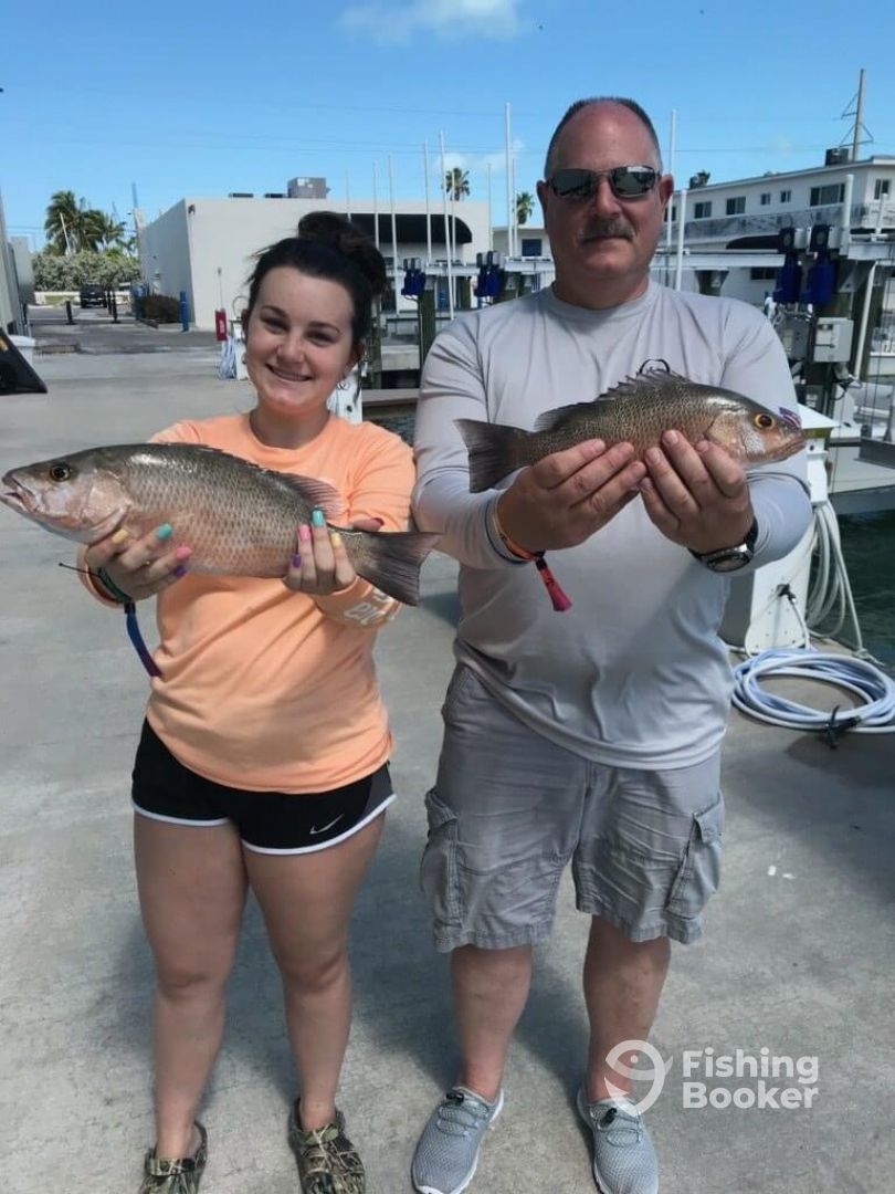 Islamorada Report Photo 0