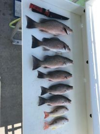 Islamorada Report Photo 2