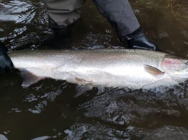 Nehalem River Report Photo 3