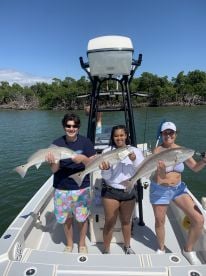 Everglades Report Photo 2