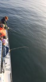 Nags Head Report Photo 2