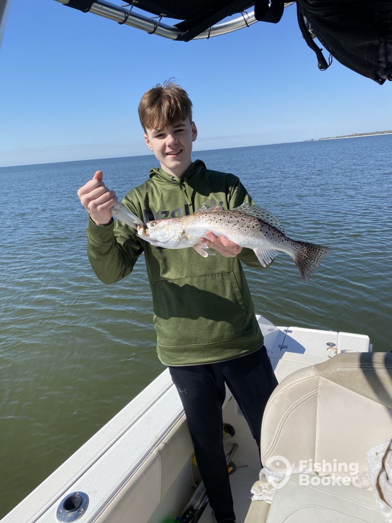 Ocean Springs Report Photo 0