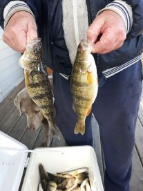 Genesee County Report Photo 3
