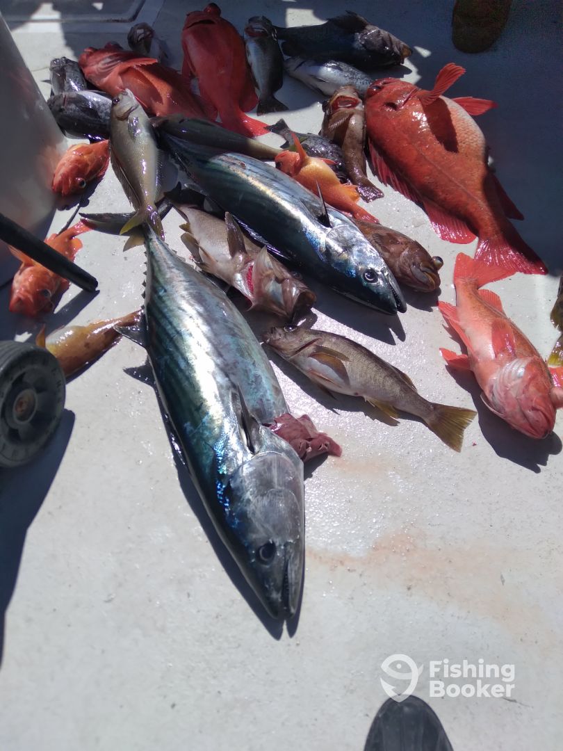 Ensenada Report Photo 0