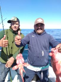 Ensenada Report Photo 1