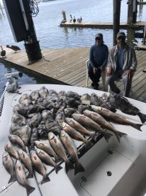 Jefferson Parish Report Photo 1