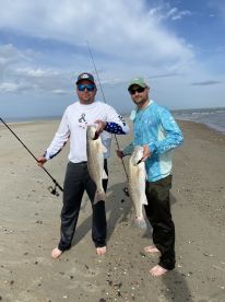 Crystal Coast Report Photo 3