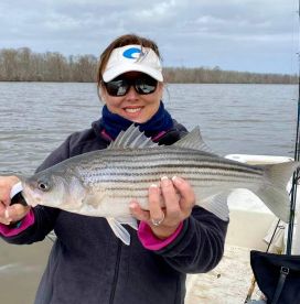 Great striper fishing on the roanoke!!!