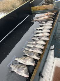 Early spring Backwater fishing 