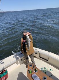 Middlesex County Report Photo 2