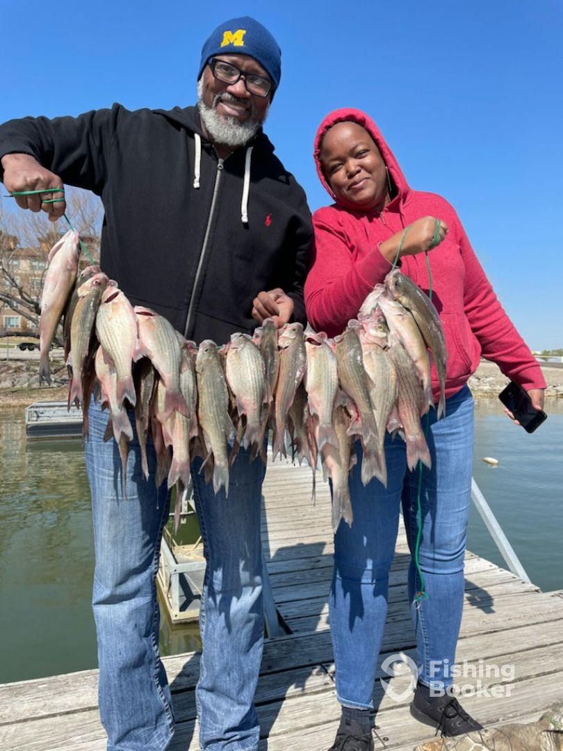 Lewisville Report Photo 0