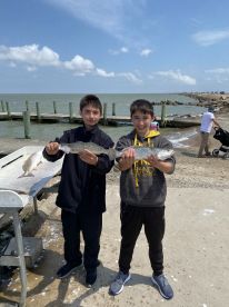 Galveston County Report Photo 2