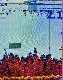 Cape Cod Bay Report Photo 1