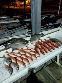 Okaloosa Island Report Photo 3