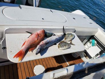 Riviera Beach Report Photo 3