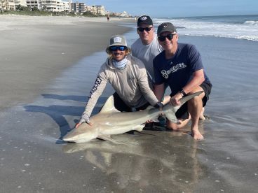Brevard County Report Photo 3