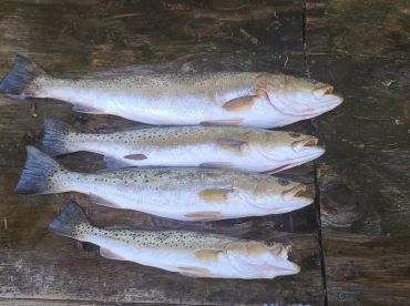 Bay County Report Photo 3