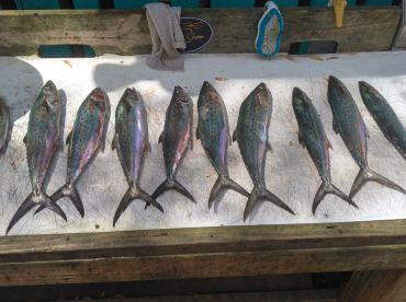 Waccamaw River Report Photo 2