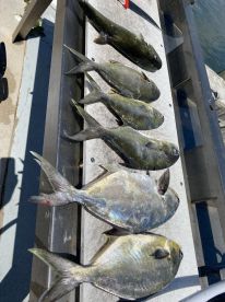 Loxahatchee River Report Photo 2