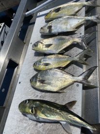Loxahatchee River Report Photo 1