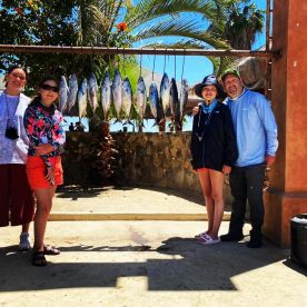Baja California Sur Report Photo 4
