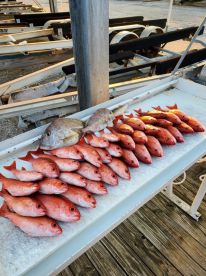 Okaloosa County Report Photo 4