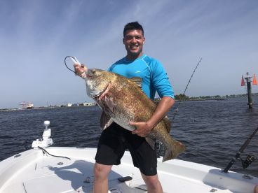 Jacksonville Report Photo 2