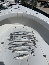 Boca Ciega Bay Report Photo 3