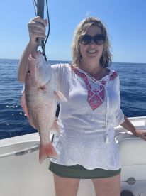 Belleair Bluffs Report Photo 1