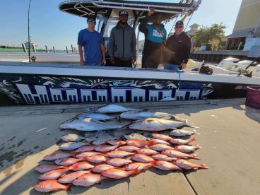 Jacksonville Report Photo 2