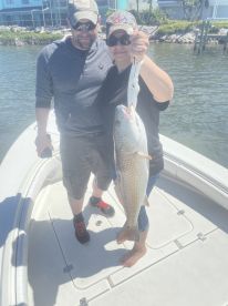 Manatee County Report Photo 3