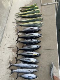 Halifax River Report Photo 2