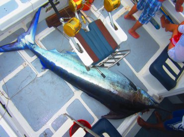 Le Morne Report Photo 1
