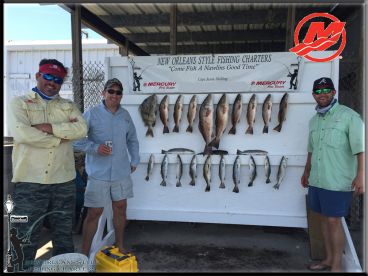 Barataria Report Photo 1