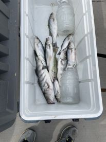 Red River Report Photo 1
