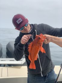 Orange County Report Photo 1