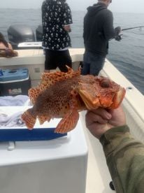 Southern California Report Photo 1